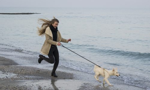 Woman running along beach with dog